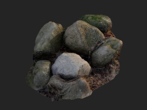 3d scanned nature stone 40 3Dモデル