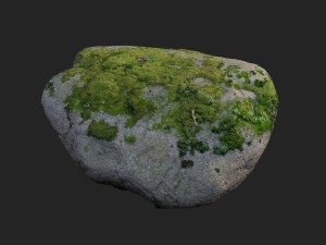 3d scanned nature stone 41 3D-Modell