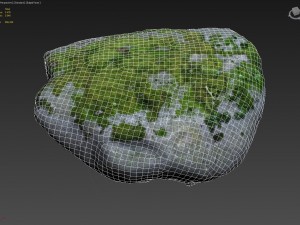 3d scanned nature stone 41 3D-Modell