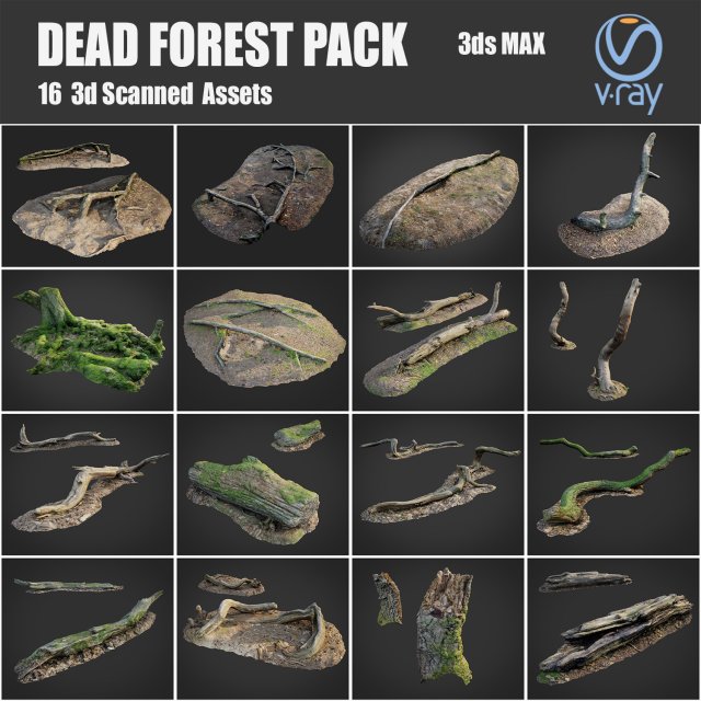 dead forest asset bundle pack Model 3D .c4d .max .obj .3ds .fbx .stl .blend 