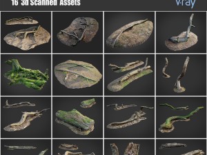 dead forest asset bundle pack 3D Model