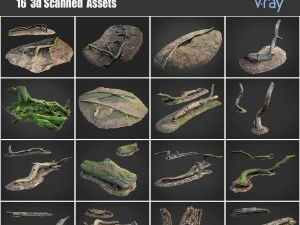 pacchetto di risorse foresta morta Modello 3D