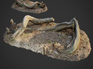 데드 포레스트 에셋 번들 팩 3D 모델