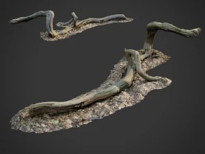 데드 포레스트 에셋 번들 팩 3D 모델