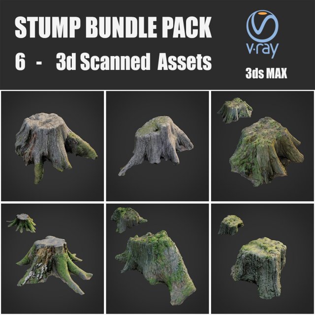 stump bundle pack Model 3D .c4d .max .obj .3ds .fbx .stl .blend 