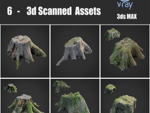 stump bundle pack 3D Model
