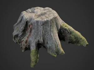 stump bundle pack 3D Model