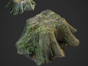 stump bundle pack 3D Model