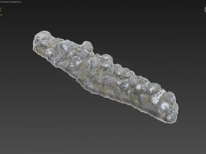 3d scanned nature stone wall a Modèle 3D