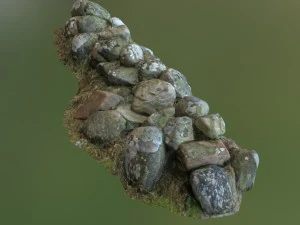 3d scanned nature stone wall b 3D Model