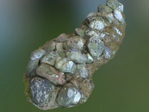 3d scanned nature stone wall b 3D Model