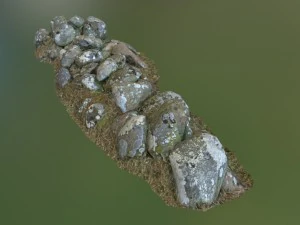 3d scanned nature stone wall b 3D Model