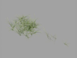 paddock gates pack 3D Модель