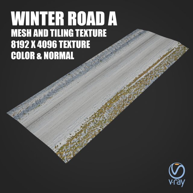 winter road a tile Modelo 3D .c4d .max .obj .3ds .fbx .stl .blend 