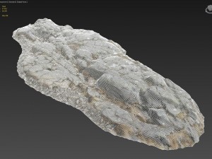 3d scanned rock cliff e 3D-Modell