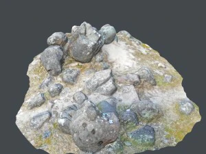 ground stones b 3D Model