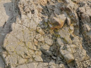 3d scanned rock cliff q 3D मॉडल