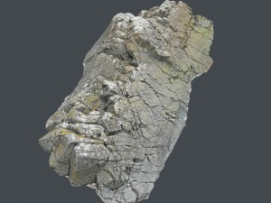 3d scanned rock cliff t Model 3D