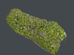 stone wall bundle b 3D Model