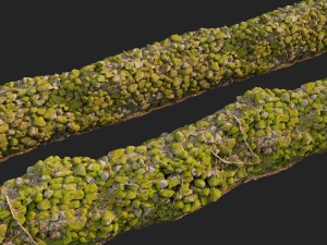 stone wall bundle b 3D Model