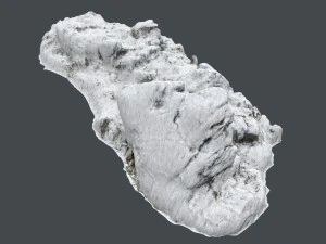 3d scanned rock cliff a snow 3D Model
