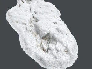 3d scanned rock cliff e snow 3D Model
