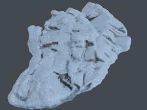 3d scanned rock cliff f snow 3Dモデル