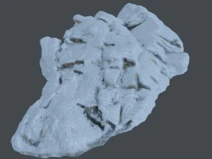3d scanned rock cliff f snow 3D Model