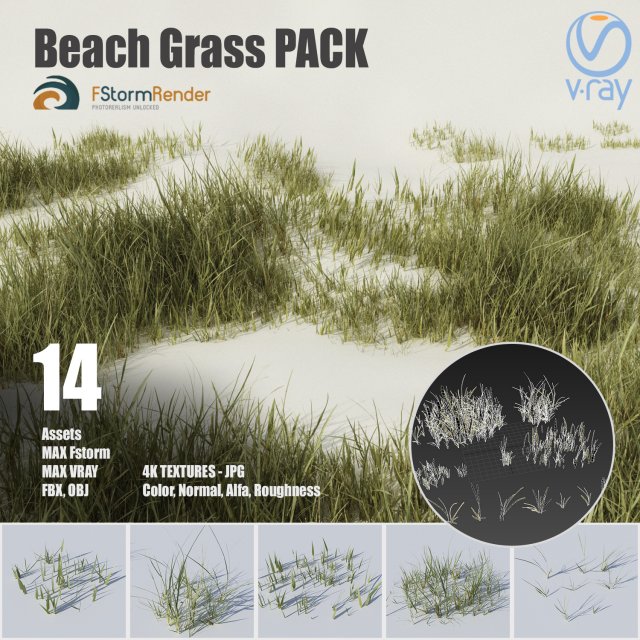 beach grass pack 3D Model .c4d .max .obj .3ds .fbx .stl .blend 