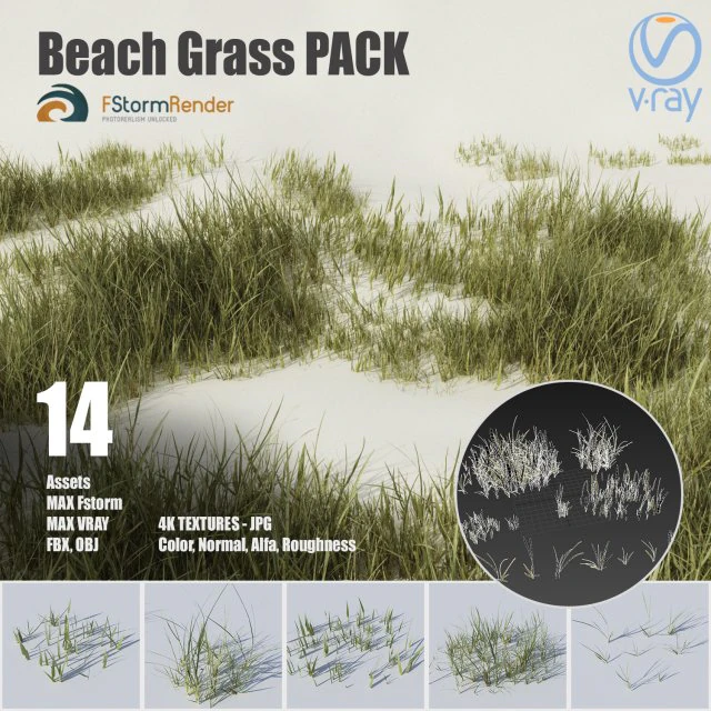beach grass pack 3D Model .c4d .max .obj .3ds .fbx .stl .blend 