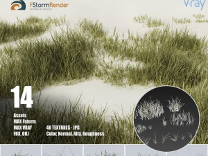 beach grass pack Modelo 3D