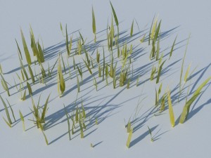 beach grass pack 3D Model