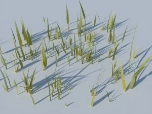 beach grass pack 3D Model