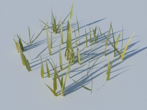 beach grass pack 3D Model