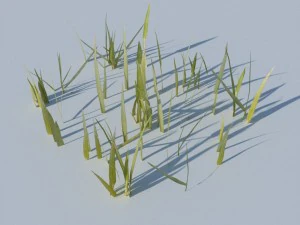 beach grass pack 3D Model
