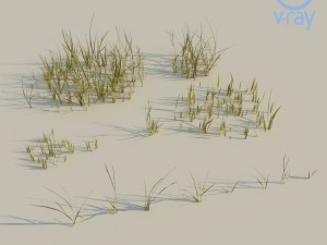 beach grass pack 3D Model