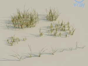 beach grass pack 3D Model