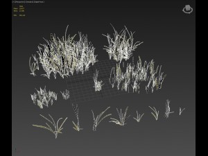 beach grass pack 3D Model