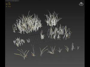 beach grass pack 3D Model
