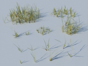 beach grass pack 3D Model