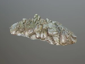 3d scanned rock cliff n2 3D Model