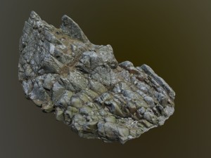cliff pack h bundle 3D Model