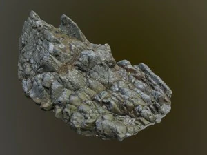 क्लिफ पैक एच बंडल 3D मॉडल