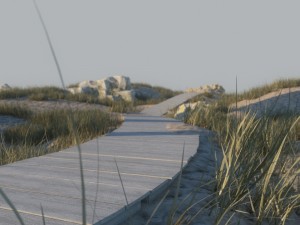 beach scene a 3Dモデル