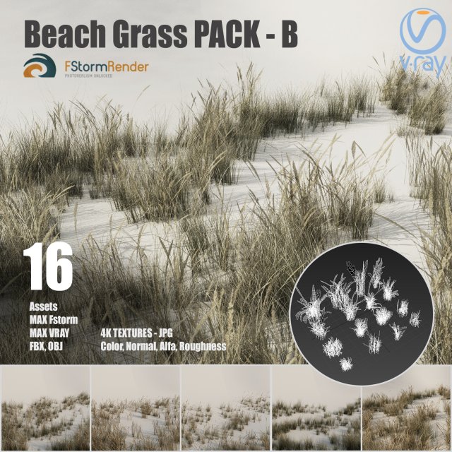 beach grass pack b 3D Model .c4d .max .obj .3ds .fbx .stl .blend 
