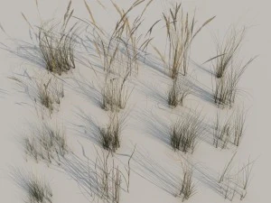 beach grass pack b 3D Model