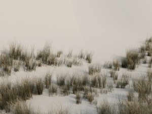 beach grass pack b 3D Model