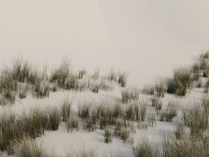beach grass pack b 3D Model
