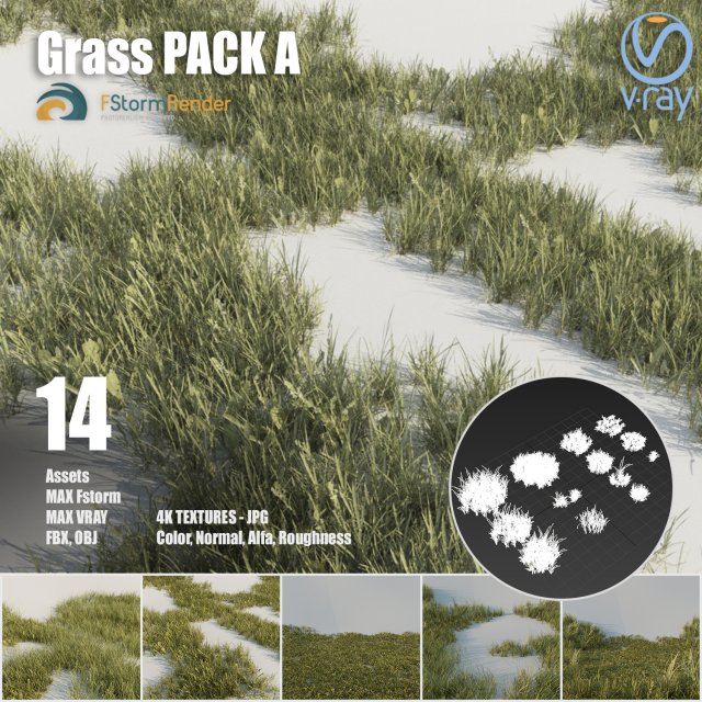 grass pack a Modello 3D .c4d .max .obj .3ds .fbx .stl .blend 