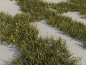 pak trawy a Model 3D